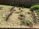 Le potager
